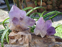 Natural Jacaranda Amethyst Quartz Clusters x 5 From Mumbwa, Zambia - Toprock Gemstones and Minerals