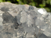 Natura Celestite Geode Specimen x 1 From Sakoany, Madagascar - Toprock Gemstones and Minerals