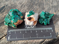 Natural Dioptase on Dolomite Matrix Specimens x 16 From Likasi, Congo - Toprock Gemstones and Minerals