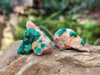 Natural Dioptase on Dolomite Matrix Specimens x 23 From Likasi, Congo - Toprock Gemstones and Minerals