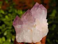 Natural Amethyst Spirit Quartz Clusters x 6 From Boekenhouthoek, South Africa - Toprock Gemstones and Minerals