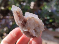 Natural Limonite Coated Fairy Spirit Quartz Clusters x 12 From Boekenhouthoek, South Africa - Toprock Gemstones and Minerals