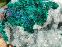 Natural Large Dioptase with Shattuckite and Drusy Quartz On Dolomite Cabinet Specimen x 1 From Likasi, Congo - Toprock Gemstones and Minerals