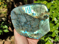 Polished Labradorite Standing Free Form x 1 From Tulear, Madagascar - Toprock Gemstones and Minerals