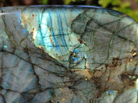 Polished Labradorite Standing Free Form x 1 From Tulear, Madagascar - Toprock Gemstones and Minerals