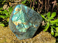 Polished Labradorite Standing Free Form x 1 From Tulear, Madagascar - Toprock Gemstones and Minerals