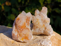 Natural Golden Limonite Coated Fairy Spirit Quartz Clusters x 12 From South Africa - Toprock Gemstones and Minerals