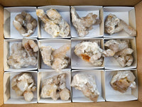 Natural Golden Limonite Coated Fairy Spirit Quartz Clusters x 12 From South Africa - Toprock Gemstones and Minerals