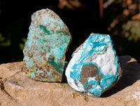 Natural Drusy Coated Chrysocolla with Malachite x 12 From Lupoto Mine, Congo - Toprock Gemstones and Minerals