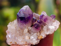 Natural Mix of Retail Items x 2.5 Kg Lot From Southern Africa - Toprock Gemstones and Minerals