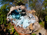 Natural Drusy Coated Chrysocolla with Malachite Specimen x 1 From Congo - Toprock Gemstones and Minerals