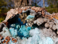 Natural Drusy Coated Chrysocolla with Malachite Specimen x 1 From Congo - Toprock Gemstones and Minerals