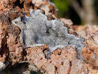 Natural Drusy Coated Chrysocolla with Malachite Specimen x 1 From Congo - Toprock Gemstones and Minerals