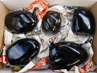 Polished Black Tourmaline Standing Free Forms x 5 From Madagascar - Toprock Gemstones and Minerals