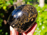 Polished Black Tourmaline Standing Free Forms x 5 From Madagascar - Toprock Gemstones and Minerals