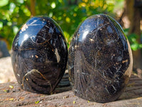Polished Black Tourmaline Standing Free Forms x 5 From Madagascar - Toprock Gemstones and Minerals