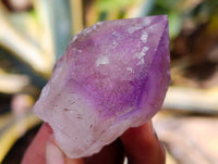 Natural Window Amethyst Crystals x 21 From Madagascar - Toprock Gemstones and Minerals