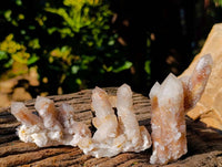 Natural Limonite Coated Fairy Spirit Quartz Clusters x 12 From South Africa - Toprock Gemstones and Minerals