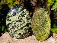 Polished Leopard Stone Standing Free Forms x 4 From Zimbabwe - Toprock Gemstones and Minerals