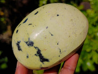 Polished Leopard Stone Standing Free Forms x 4 From Zimbabwe - Toprock Gemstones and Minerals