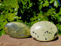 Polished Leopard Stone Standing Free Forms x 4 From Zimbabwe - Toprock Gemstones and Minerals