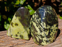 Polished Leopard Stone Standing Free Forms x 4 From Zimbabwe - Toprock Gemstones and Minerals