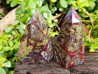 Natural Bastite Dragon Bloodstone Points x 2 From South Africa - Toprock Gemstones and Minerals