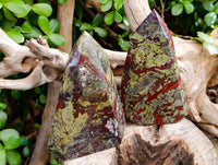 Natural Bastite Dragon Bloodstone Points x 2 From South Africa - Toprock Gemstones and Minerals