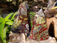 Natural Bastite Dragon Bloodstone Points x 2 From South Africa - Toprock Gemstones and Minerals