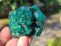 Natural Dioptase Crystals on Dolomite Matrix Specimens x 6 From Likasi, Congo - Toprock Gemstones and Minerals
