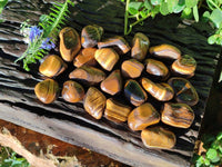 Polished Tiger's Eye Tumbled Stones x 35 From Prieska, South Africa - Toprock Gemstones and Minerals