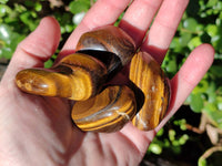 Polished Tiger's Eye Tumbled Stones x 35 From Prieska, South Africa - Toprock Gemstones and Minerals