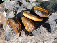 Polished Tiger's Eye Tumbled Stones x 35 From Prieska, South Africa - Toprock Gemstones and Minerals