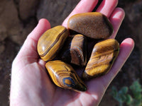 Polished Tiger's Eye Tumbled Stones x 35 From Prieska, South Africa - Toprock Gemstones and Minerals