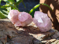 Natural Amethyst Spirit Quartz Crystals x 40 From Boekenhouthoek, South Africa - Toprock Gemstones and Minerals