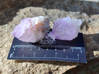 Natural Amethyst Spirit Quartz Crystals x 40 From Boekenhouthoek, South Africa - Toprock Gemstones and Minerals