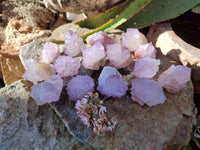 Natural Amethyst Spirit Quartz Crystals x 40 From Boekenhouthoek, South Africa - Toprock Gemstones and Minerals