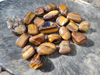 Polished Tiger's Eye Tumbled Stones x 35 From Prieska, South Africa - Toprock Gemstones and Minerals