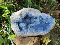 Natura Celestite Geode Specimen x 1 From Sakoany, Madagascar - Toprock Gemstones and Minerals