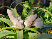 Natural Amethyst Spirit Quartz Clusters x 35 From Boekenhouthoek, South Africa - Toprock Gemstones and Minerals