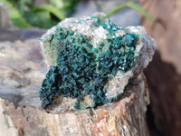 Natural Super Rare Crystalline Malachite on Dolomite Matrix Specimens x 6 From Tenke Fungurume, Congo - Toprock Gemstones and Minerals