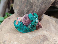 Natural Small Dioptase and Crystalline Malachite on Dolomite Matrix Specimens x 22 From Likasi, Congo - Toprock Gemstones and Minerals