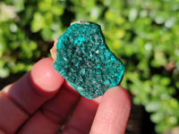 Natural Small Dioptase and Crystalline Malachite on Dolomite Matrix Specimens x 22 From Likasi, Congo - Toprock Gemstones and Minerals