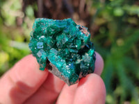 Natural Small Dioptase Crystals  with Malachite on Dolomite Matrix Specimens x 12 From Likasi, Congo - Toprock Gemstones and Minerals