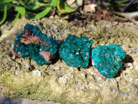 Natural Small Dioptase Crystals  with Malachite on Dolomite Matrix Specimens x 12 From Likasi, Congo - Toprock Gemstones and Minerals