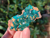 Natural Small Dioptase Crystals  with Malachite on Dolomite Matrix Specimens x 12 From Likasi, Congo - Toprock Gemstones and Minerals