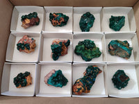Natural Small Dioptase Crystals  with Malachite on Dolomite Matrix Specimens x 12 From Likasi, Congo - Toprock Gemstones and Minerals