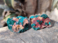 Natural Small Dioptase Crystals  with Malachite on Dolomite Matrix Specimens x 12 From Likasi, Congo - Toprock Gemstones and Minerals