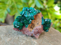 Natural Small Dioptase Crystals  with Malachite on Dolomite Matrix Specimens x 12 From Likasi, Congo - Toprock Gemstones and Minerals