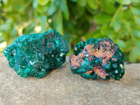 Natural Small Dioptase Crystals  with Malachite on Dolomite Matrix Specimens x 12 From Likasi, Congo - Toprock Gemstones and Minerals